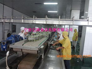 億鴻食品機械 以卓越品質(zhì)與智能技術(shù)，引領(lǐng)魚罐頭瀝水機新標(biāo)準(zhǔn)